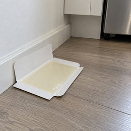 Liima-ansat