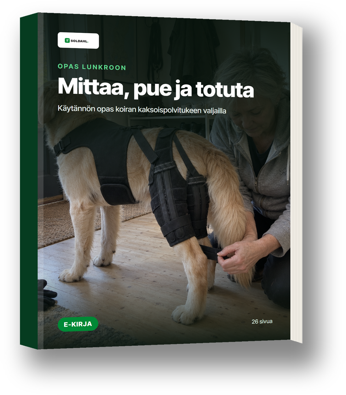 E-kirja Mittaa, pue ja totuta, Lunkro