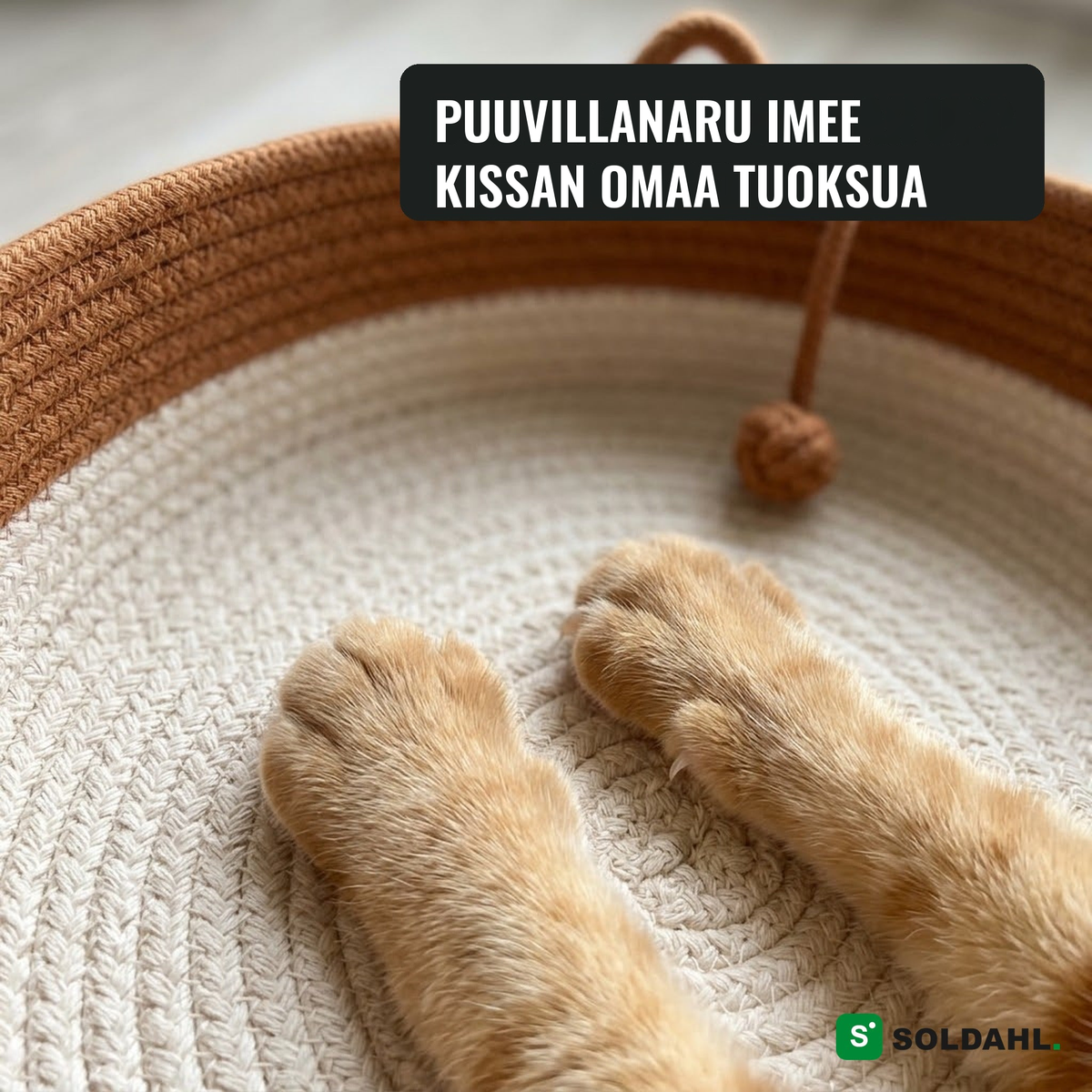 Instinktkorgen, tassut