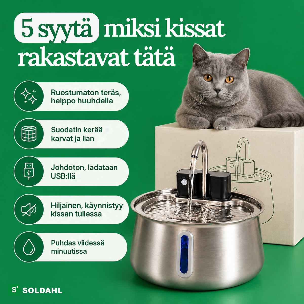 Viisi syytä, miksi kissat rakastavat ruostumattomasta teräksestä tehtyä juomalähdettä