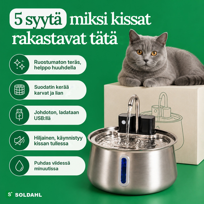 Viisi syytä, miksi kissat rakastavat ruostumattomasta teräksestä tehtyä juomalähdettä