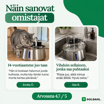 Kissanomistajien arvioita kissan juomalähteestä