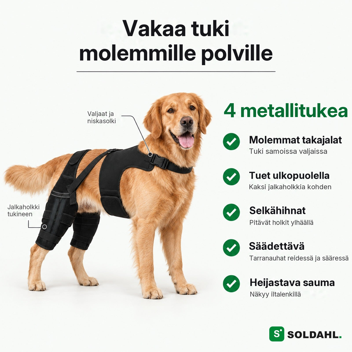 Lunkro-polvituki valjailla, neljä metallitukea ja selkähihnat selitettyinä