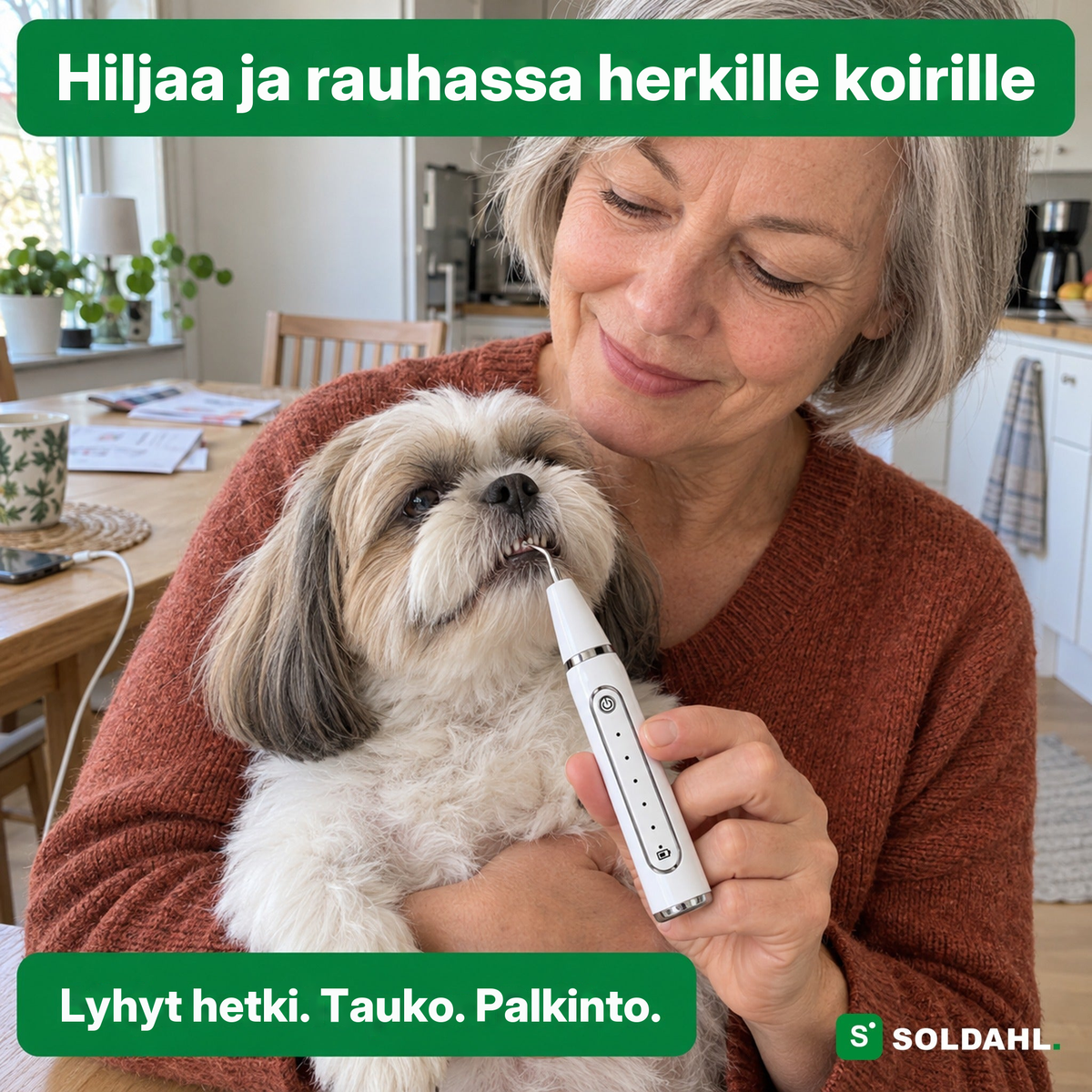 Nainen pitää pientä koiraa sylissä ja käyttää Tandroa hammasta vasten