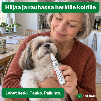 Nainen pitää pientä koiraa sylissä ja käyttää Tandroa hammasta vasten