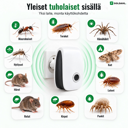 Yleiset tuholaiset sisätiloissa: muurahaiset, hiiret, luteet, hämähäkit ja muut