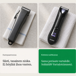Tavallinen partahöylä